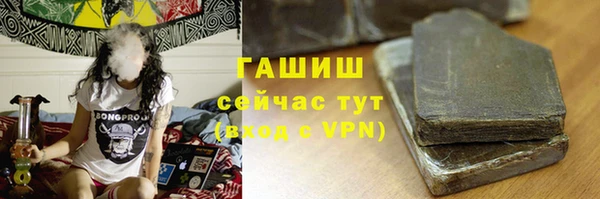твердый Богданович
