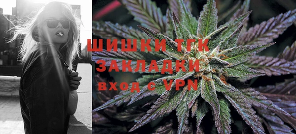 МДПВ Богородицк