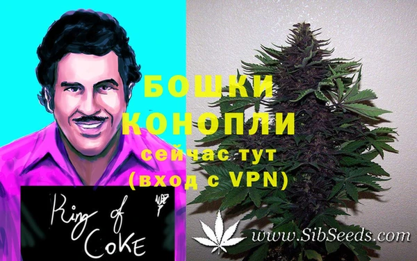 МДПВ Богородицк