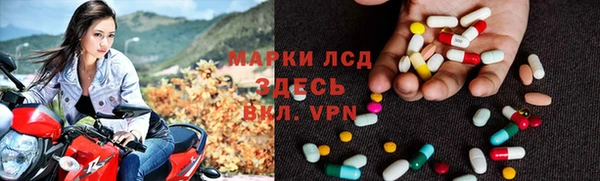 твердый Богданович