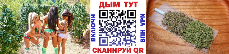 Каннабис семена Шарья